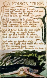 A Poison Tree, from Songs of Experience